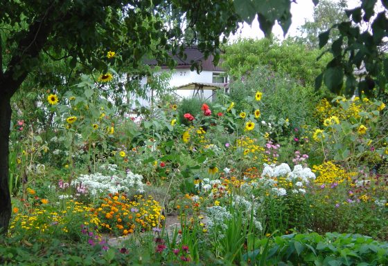 Natur- und Klimabewusstes Gärtnern