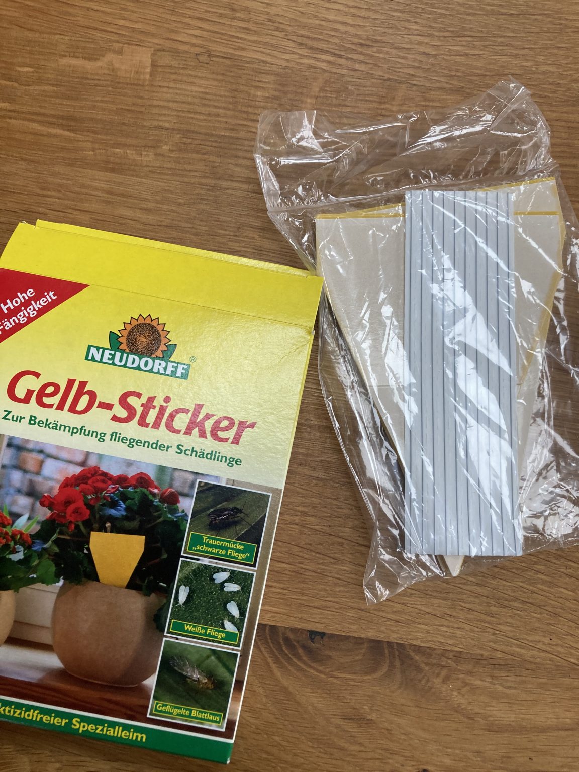 Gelbsticker Trauermücken Bekämpfen 60x - Gelbtafeln Trauermücken Gegen Kleine Fliegen In - Foto 9